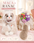 Maca ranac – plišani ranac i igračka u jednom